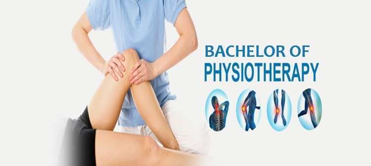 BPT (Bachelor of Physiotherapy): Complete Career Guide After 12th