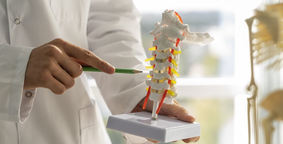 Bachelor of Physiotherapy (BPT): Complete Career Guide After 12th